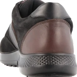 Sneakers|Casual*Jomos Campus II Malaga